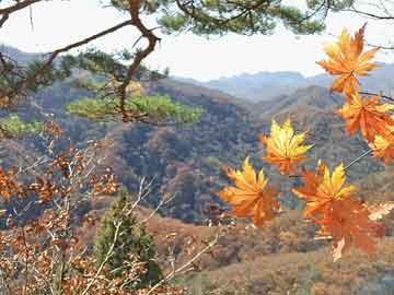 教师节：四首诗词，感念师恩，献给敬爱的老师 