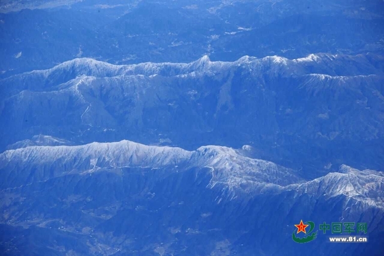 家中有白蚁怎么办？ 免费防治还是自掏腰包关键在这里 